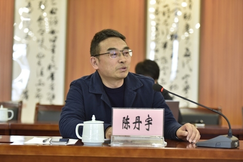 陈丹宇